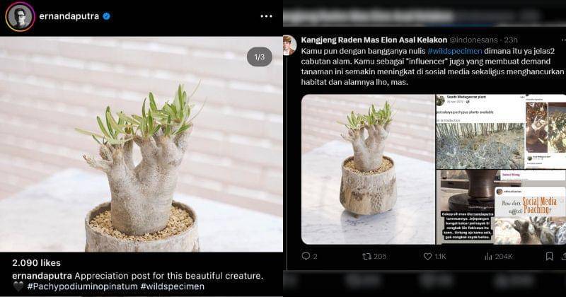 Instagram.com/ernandaputra & Twitter.com/indonesans